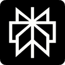 Official Perplexity Pro logo